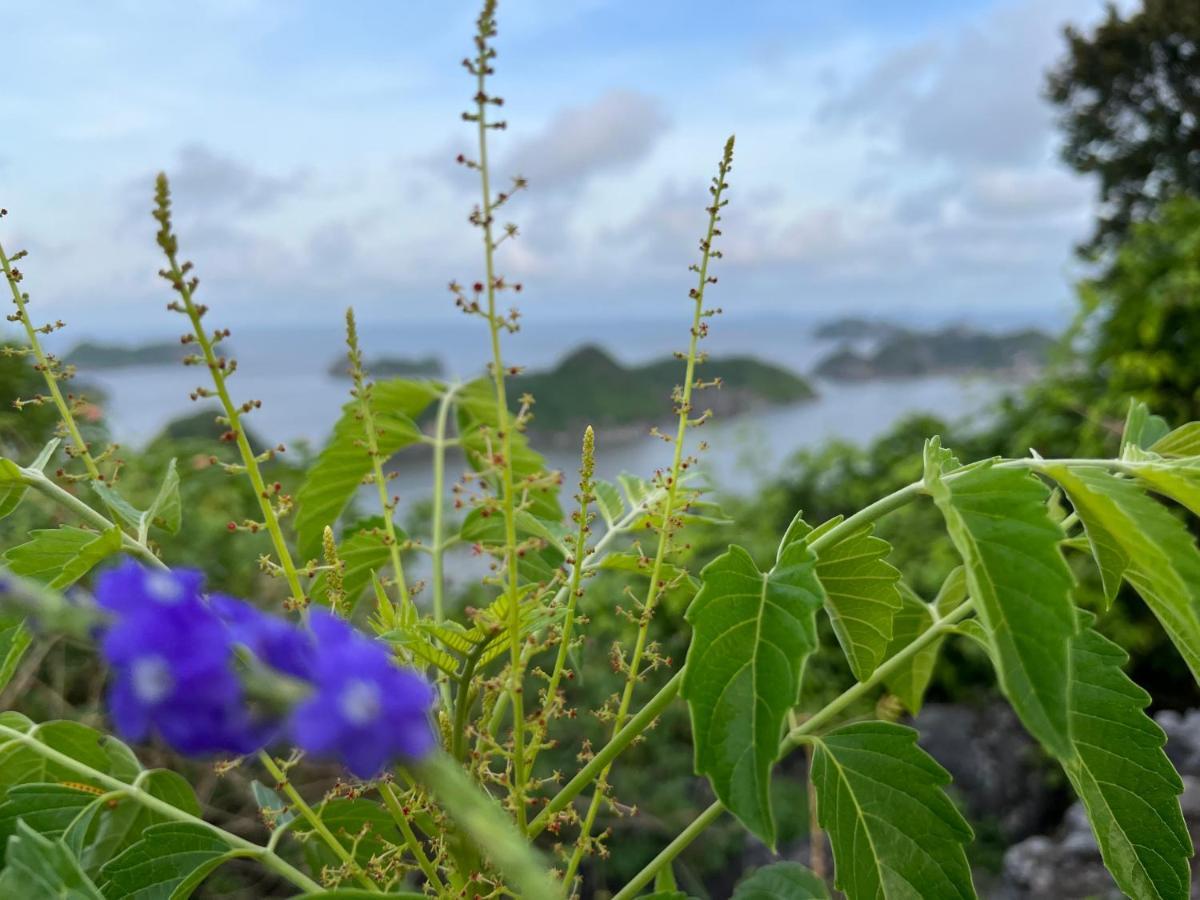 Cat Ba Rosalia Hotel Dong Khe Sau Eksteriør billede